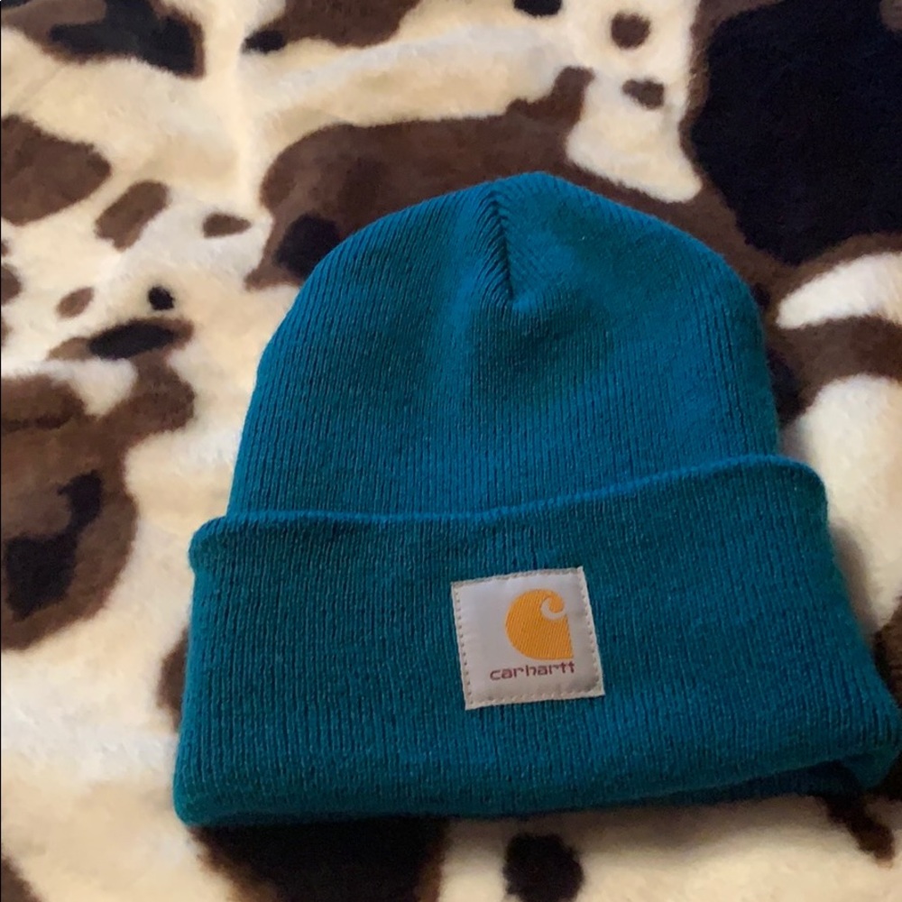 RARE blue/teal Carhartt Toboggan